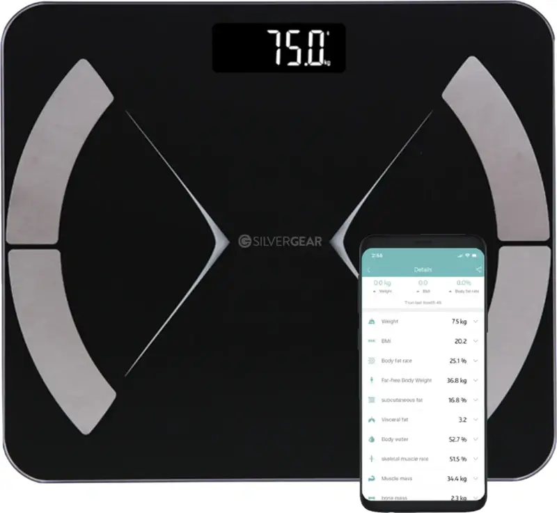 Silvergear Bluetooth Zwart