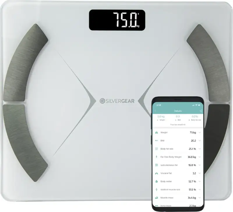 Silvergear Bluetooth Wit