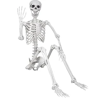 180 cm, levensgroot skelet, Halloween, poseerbaar full-body skelet met beweegbare gewrichten voor Halloween-rekwisieten, griezelige feestdecoratie (180-1p)