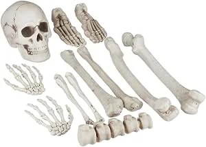 Relaxdays skelet botten, 12-delige set, Halloween decoratie, met schedel & handen, voor binnen & buiten, XXL horror deco