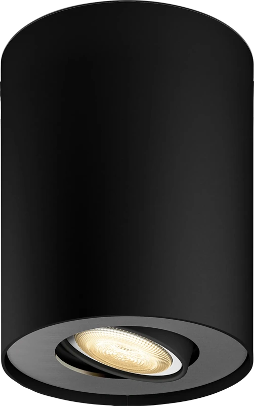 Philips Hue Pillar Opbouwspot White Ambiance - Zwart - 1-spots
