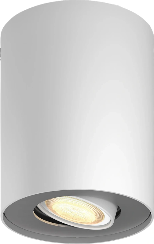 Philips Hue Pillar Opbouwspot White Ambiance - Wit - 1-spots