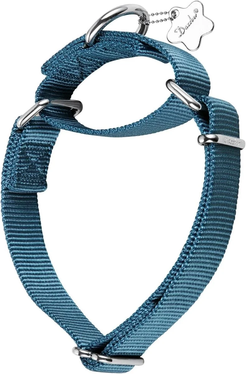 Verstelbare Martingale Halsband voor Honden - Duurzaam en Comfortabel - Effen Kleur Nylon Halsband voor Grote, Middelgrote en Kleine Honden (Medium, 36-53 cm) - Haze Blue